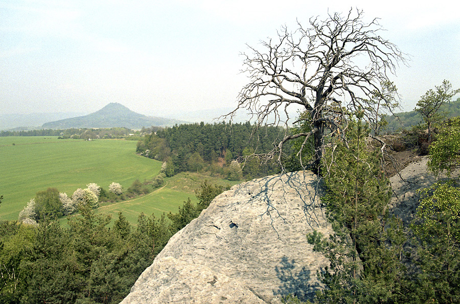 "Silver Hill" - larger format