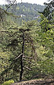 Ve srzech - hlavn odkaz
