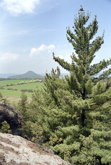 "Ronov Hill" - smaller format