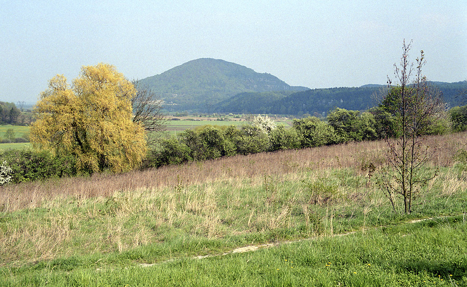 "Vlhošť Hill" - larger format