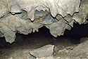 Dra dm - hlavn odkaz