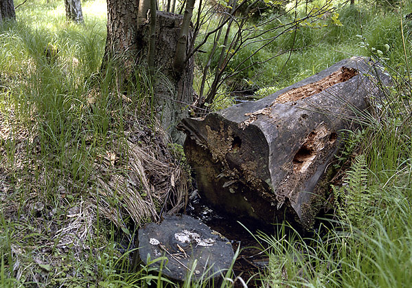 Chopping block - smaller format