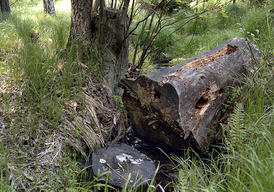 Chopping block - larger format