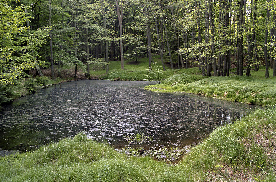 Small lake - larger format