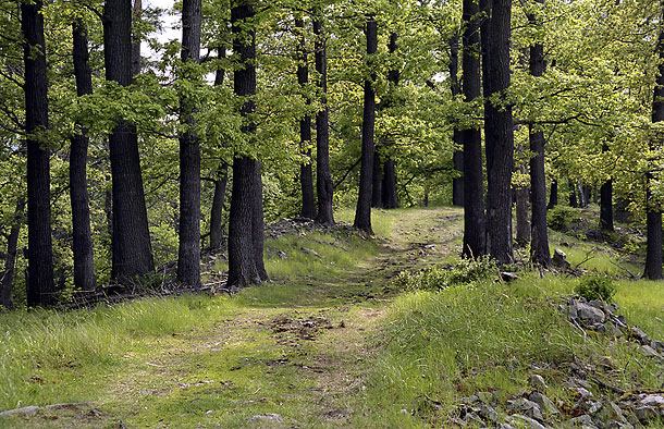 On the "Kitchenette" hill - smaller format