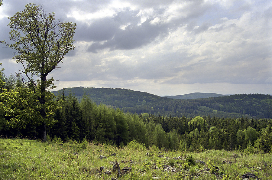 "Psky" and "Pleivec" hills - larger format