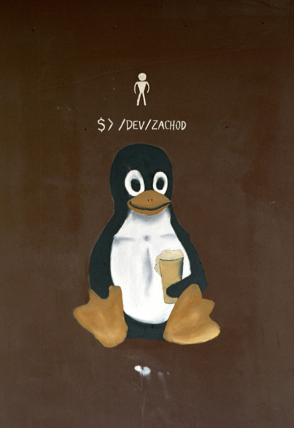 Pan Linux - vt formt