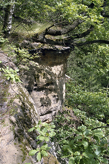 Rocky edge - smaller format