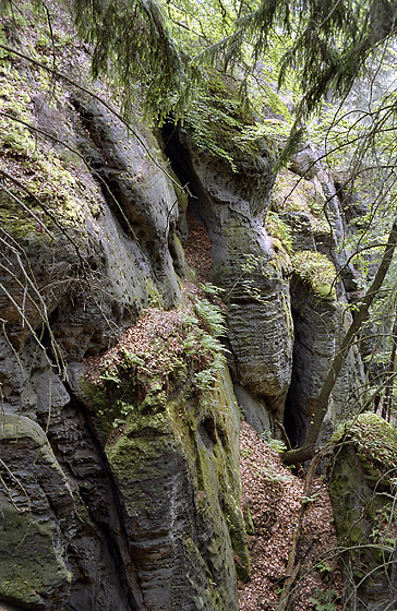 Ve skalch Rae - men formt