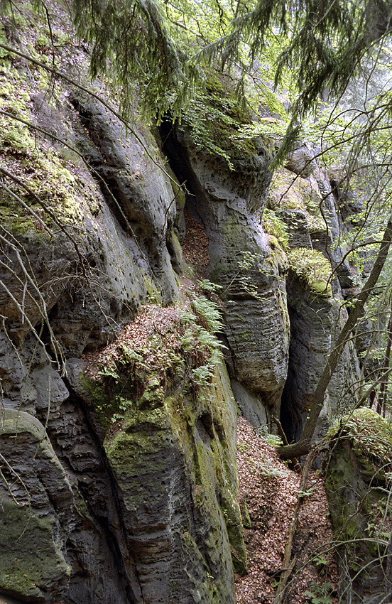 Ve skalch Rae - vt formt