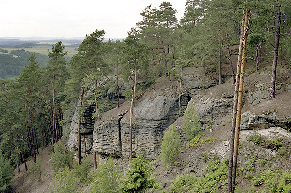 Ve skalch Rae - men formt