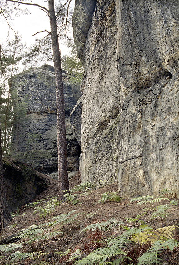 Ve skalch Rae - vt formt