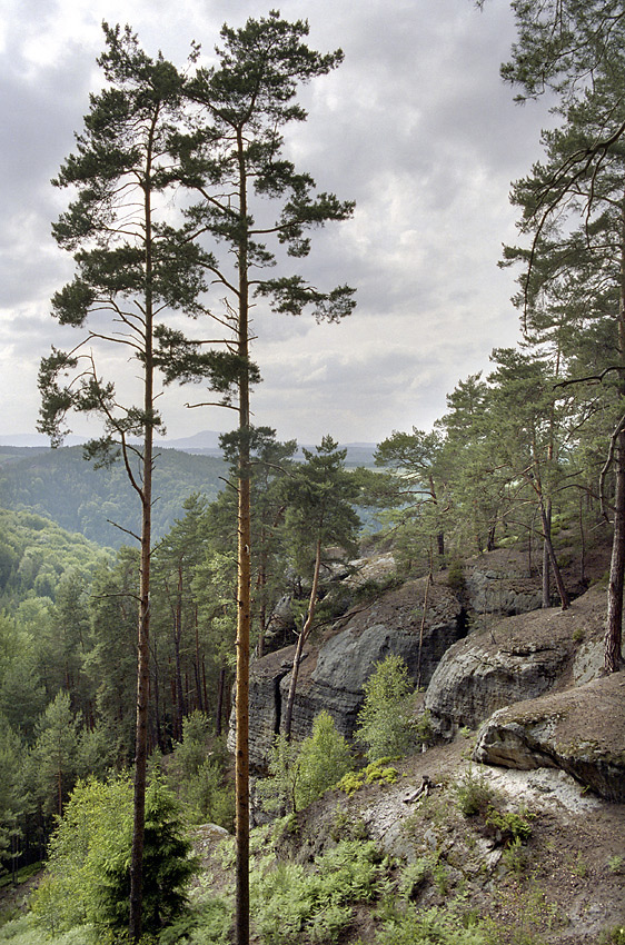 Ve skalch Rae - vt formt