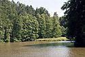 Pond on "ehrovka" - main link