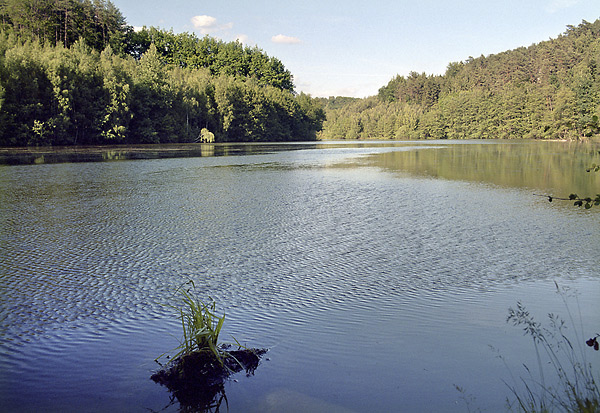"Vidlk" pond - smaller format
