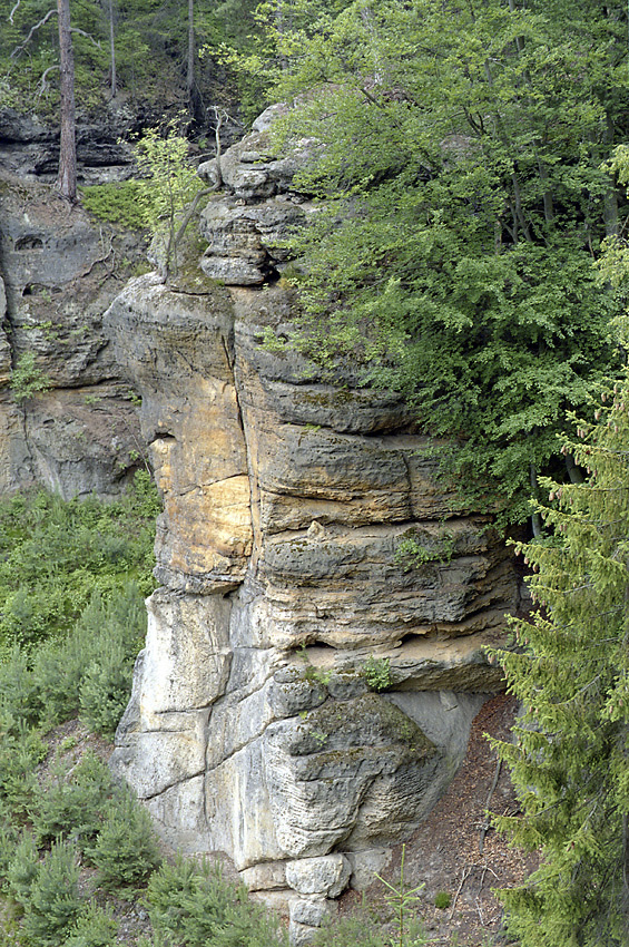 Near the "Zbrzdn vrch" - larger format