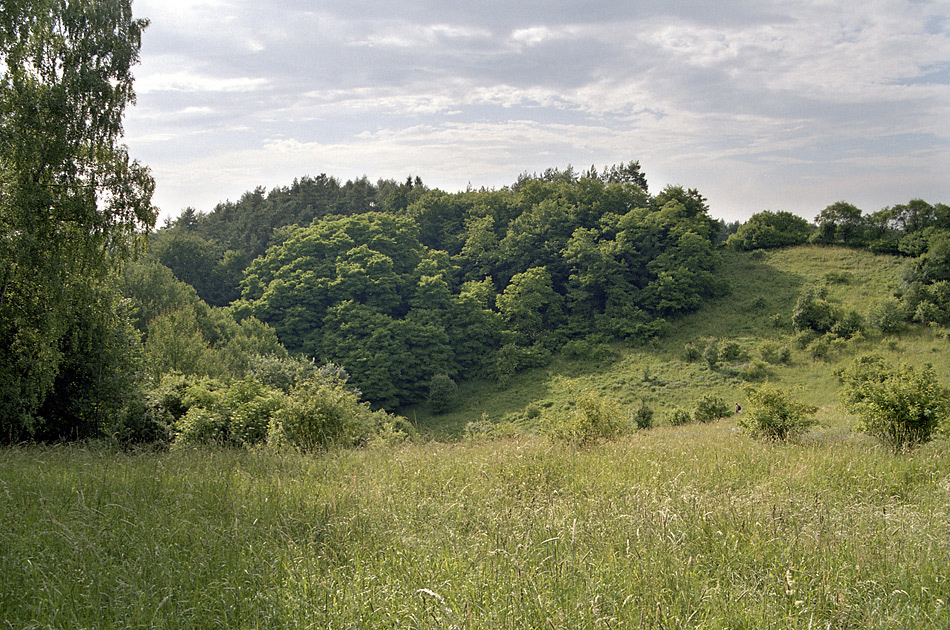 On the "Zbrzdn vrch" - larger format