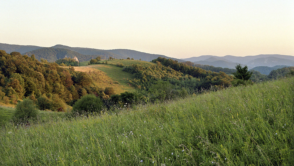 Veer ped Bgrem - vt formt