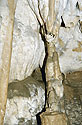 Stalagnt - hlavn odkaz