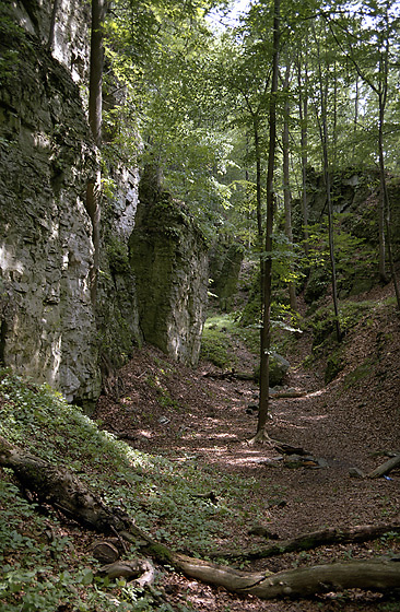 Gorge near "Strkov" - smaller format