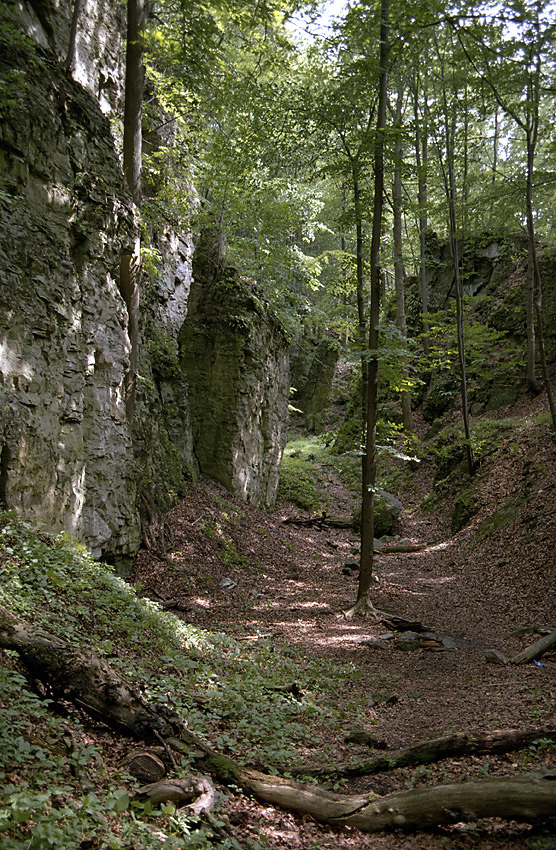 Gorge near "Strkov" - larger format