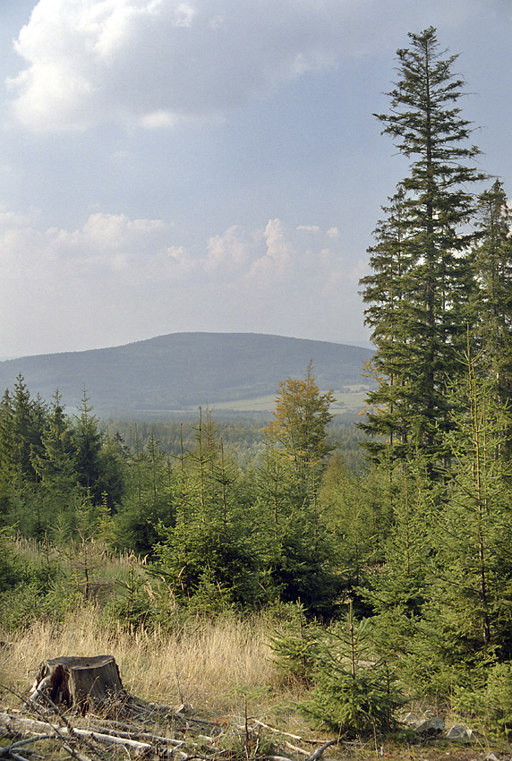 "Bald Hill" - larger format