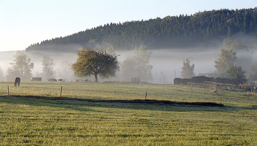 Mlhy nad Hlavovem - vt formt