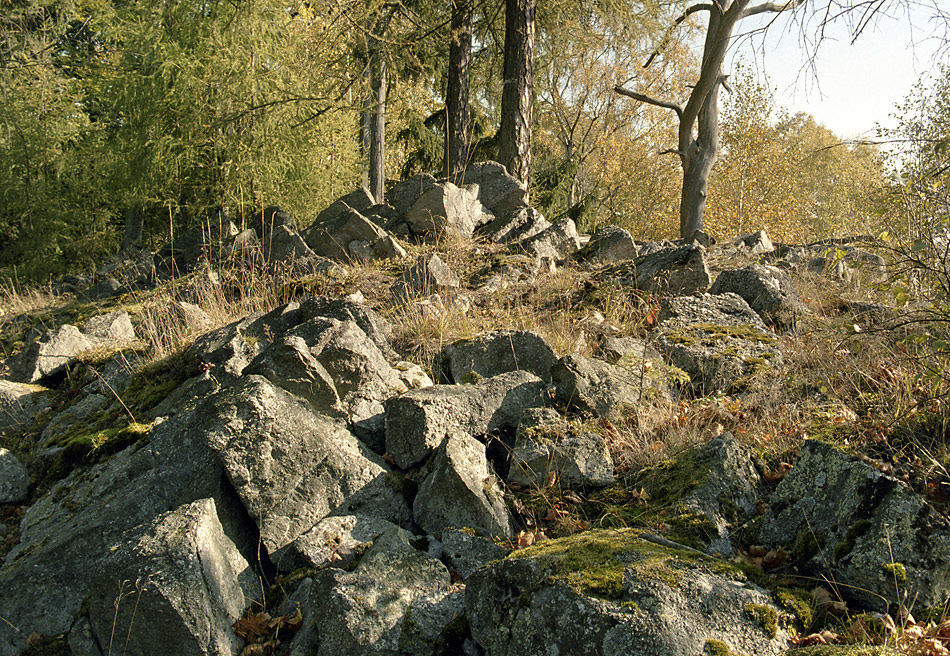 On the ridge - larger format