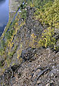 Downwards - main link