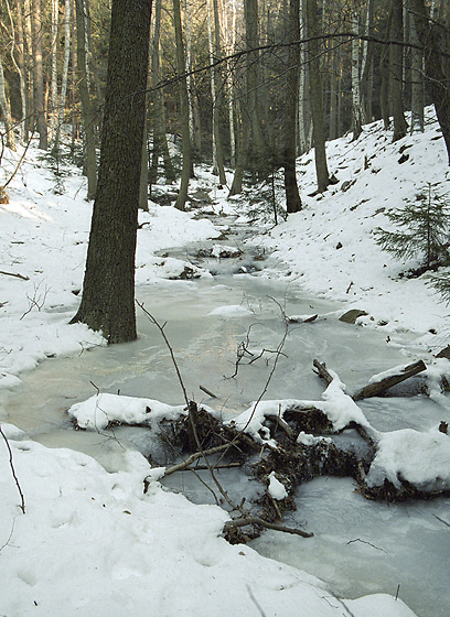 Frozen creek - smaller format