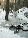 Frozen creek - main link