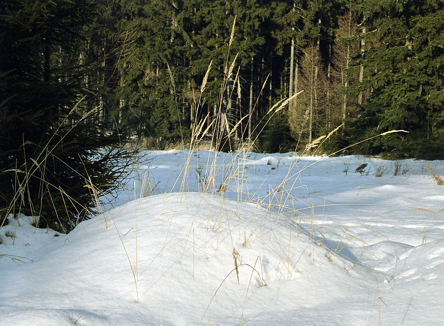 Little mound - larger format