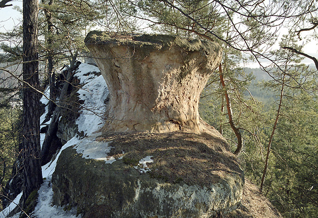 Rocky mushroom - smaller format