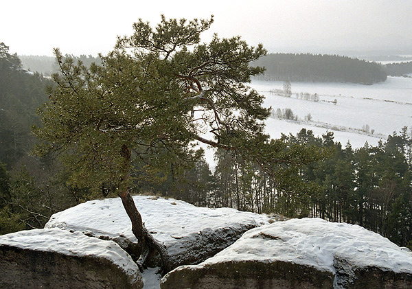 Na Juliin vyhldce - men formt