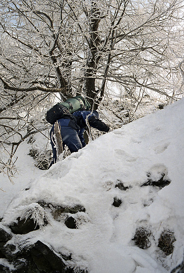Climbing - smaller format