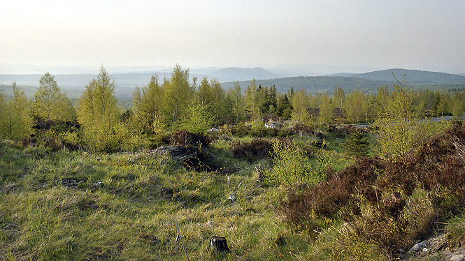 Veer na Jordnu - men formt