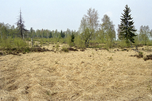 Na Jordnu - men formt