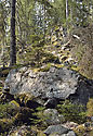 "Crested Hill" - main link