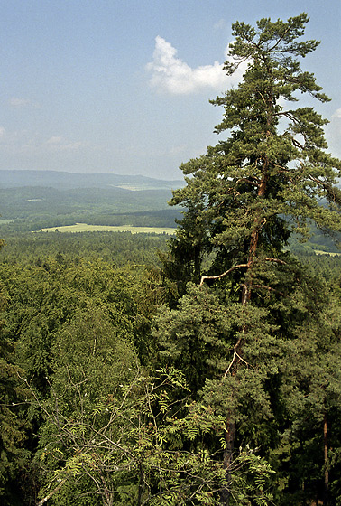 View from "r" - smaller format