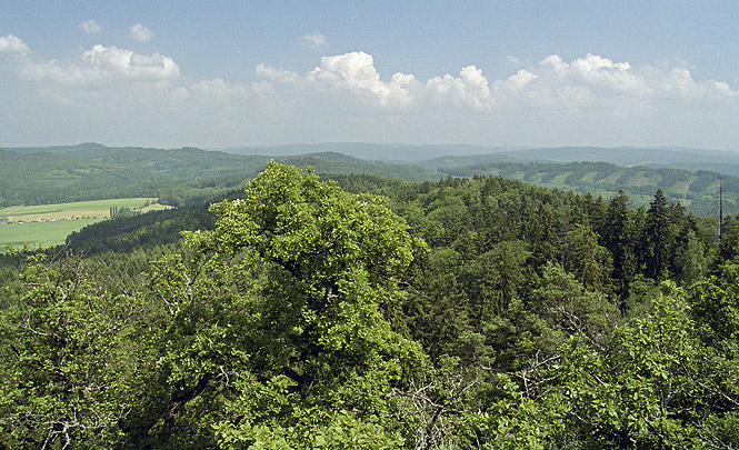 View to east - smaller format