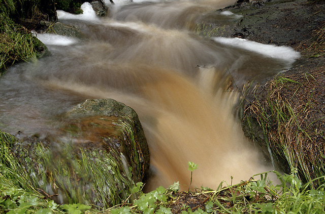 Rozvodnn potok - men formt