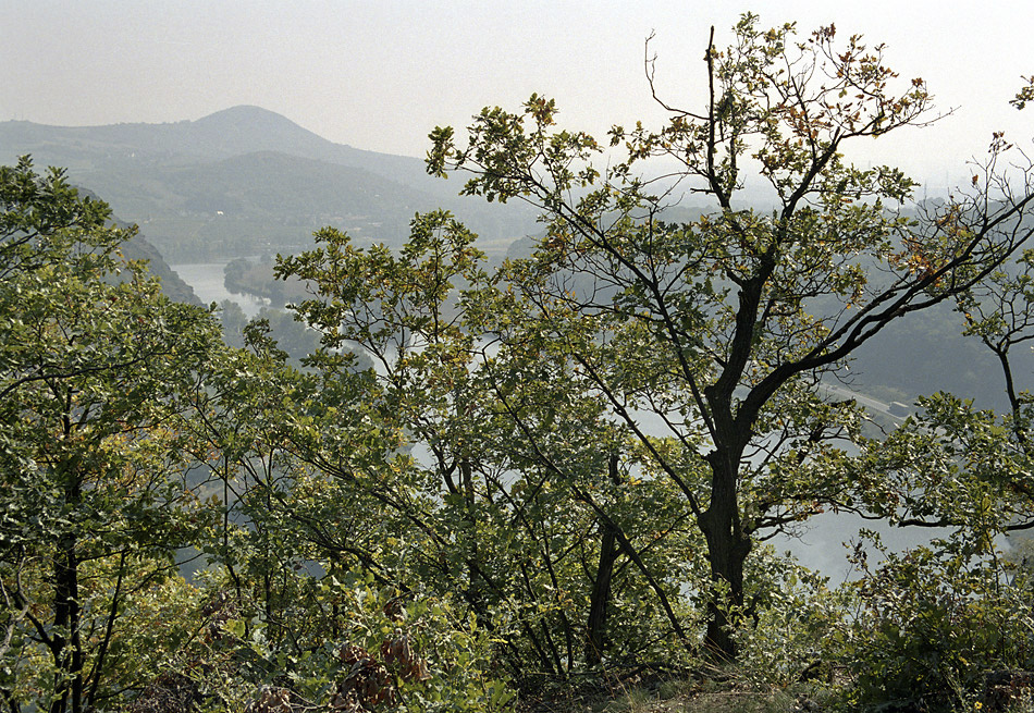 Porta Bohemica - vt formt