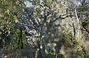 Hradn brna na Ostrm - hlavn odkaz