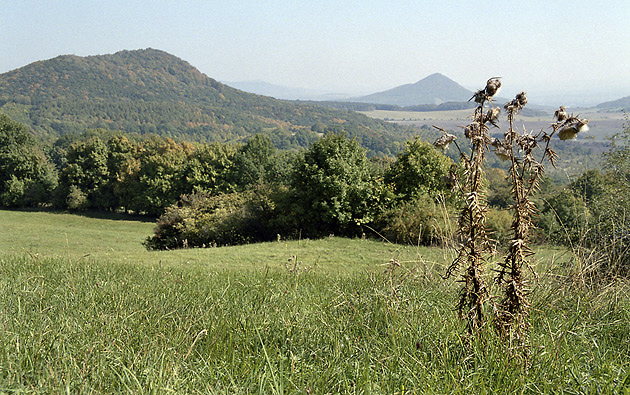 Meadow at "Medvdice" - smaller format