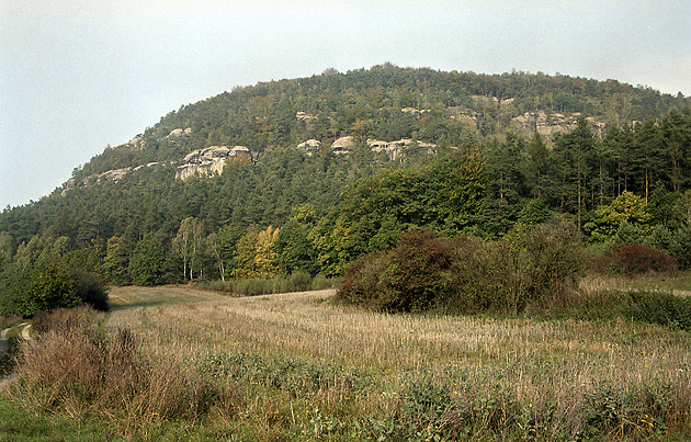 "Vlho" - smaller format