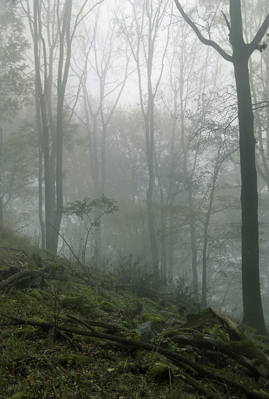 Mlha na Vlhoti - men formt