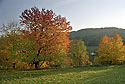Podzim nad sadem - hlavn odkaz