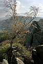Podzim na Veverce - hlavn odkaz