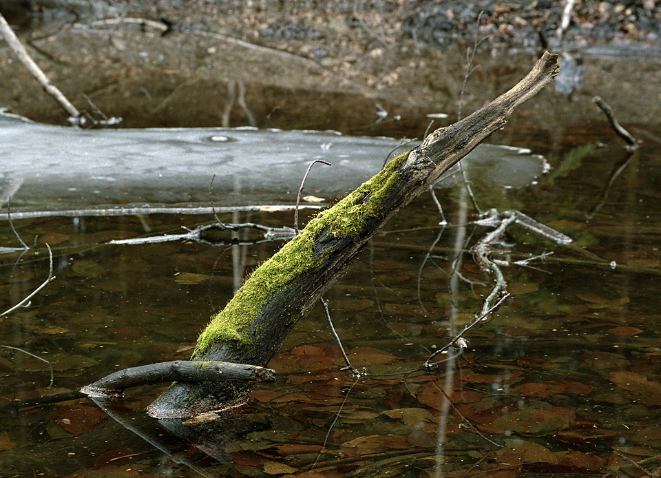 Stick - larger format