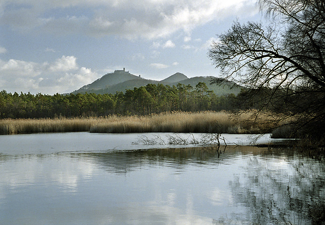 At the "Behyn" lake - smaller format